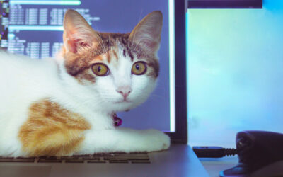 KI: Geht der persönliche Kontakt verloren?